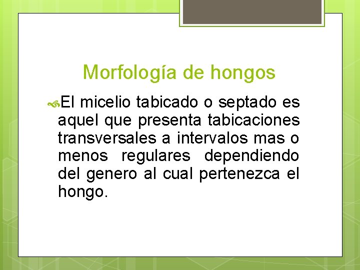 Morfología de hongos El micelio tabicado o septado es aquel que presenta tabicaciones transversales Morfología de hongos El micelio tabicado o septado es aquel que presenta tabicaciones transversales