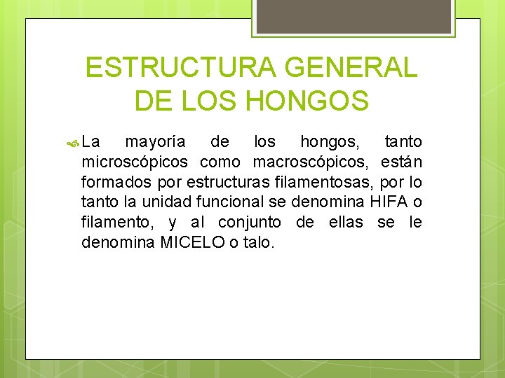 ESTRUCTURA GENERAL DE LOS HONGOS La mayoría de los hongos, tanto microscópicos como macroscópicos, ESTRUCTURA GENERAL DE LOS HONGOS La mayoría de los hongos, tanto microscópicos como macroscópicos,