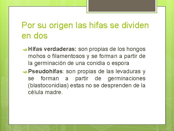Por su origen las hifas se dividen en dos Hifas verdaderas: son propias de Por su origen las hifas se dividen en dos Hifas verdaderas: son propias de