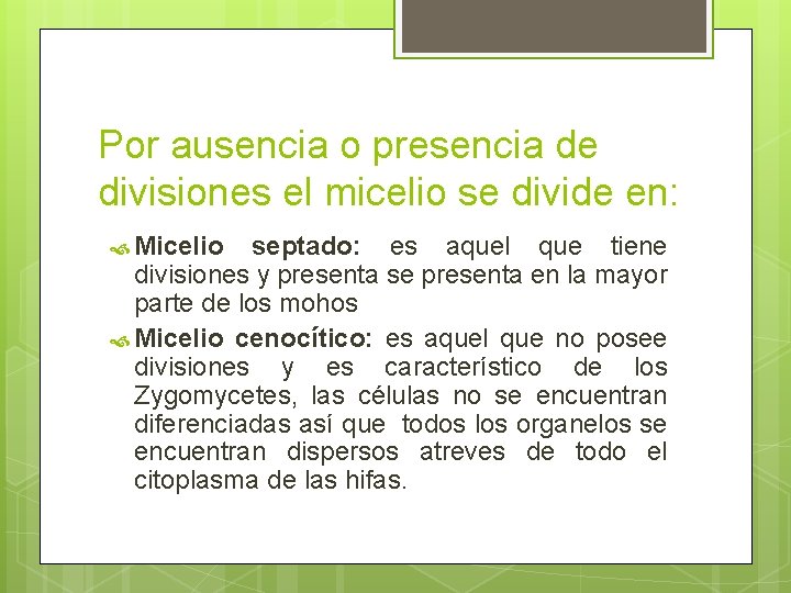Por ausencia o presencia de divisiones el micelio se divide en: Micelio septado: es Por ausencia o presencia de divisiones el micelio se divide en: Micelio septado: es