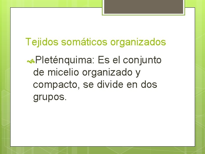 Tejidos somáticos organizados Pleténquima: Es el conjunto de micelio organizado y compacto, se divide Tejidos somáticos organizados Pleténquima: Es el conjunto de micelio organizado y compacto, se divide
