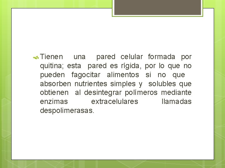 Tienen una pared celular formada por quitina; esta pared es rígida, por lo Tienen una pared celular formada por quitina; esta pared es rígida, por lo