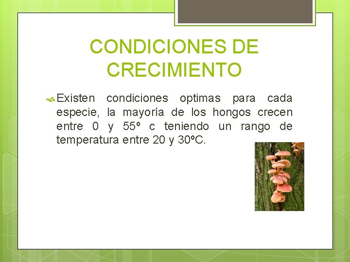 CONDICIONES DE CRECIMIENTO Existen condiciones optimas para cada especie, la mayoría de los hongos CONDICIONES DE CRECIMIENTO Existen condiciones optimas para cada especie, la mayoría de los hongos