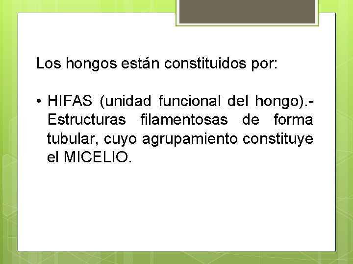 Los hongos están constituidos por: • HIFAS (unidad funcional del hongo). - Estructuras filamentosas Los hongos están constituidos por: • HIFAS (unidad funcional del hongo). - Estructuras filamentosas