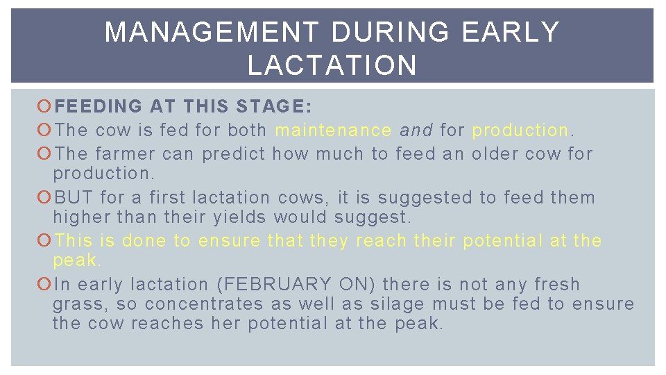 MANAGEMENT DURING EARLY LACTATION FEEDING AT THIS STAGE: The cow is fed for both