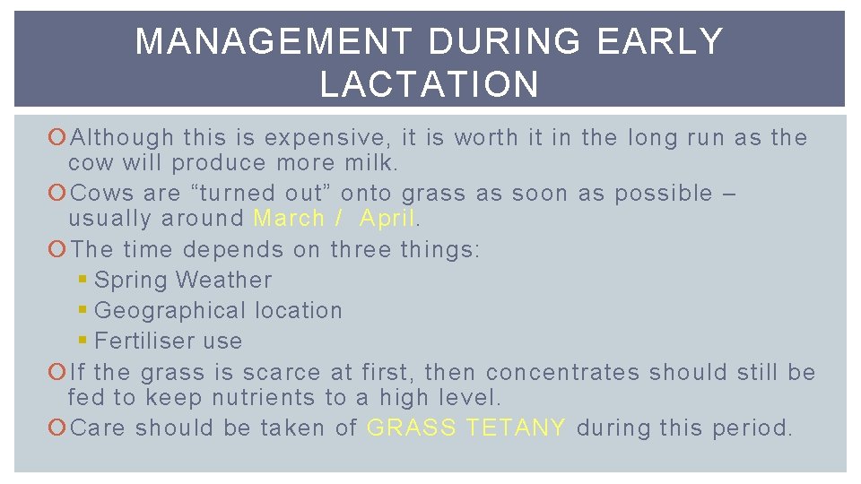 MANAGEMENT DURING EARLY LACTATION Although this is expensive, it is worth it in the