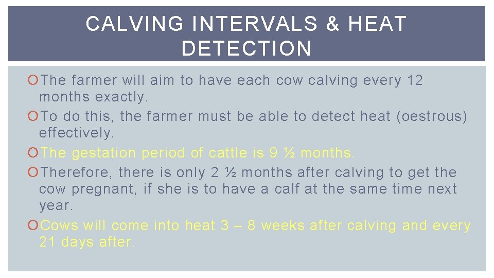 CALVING INTERVALS & HEAT DETECTION The farmer will aim to have each cow calving