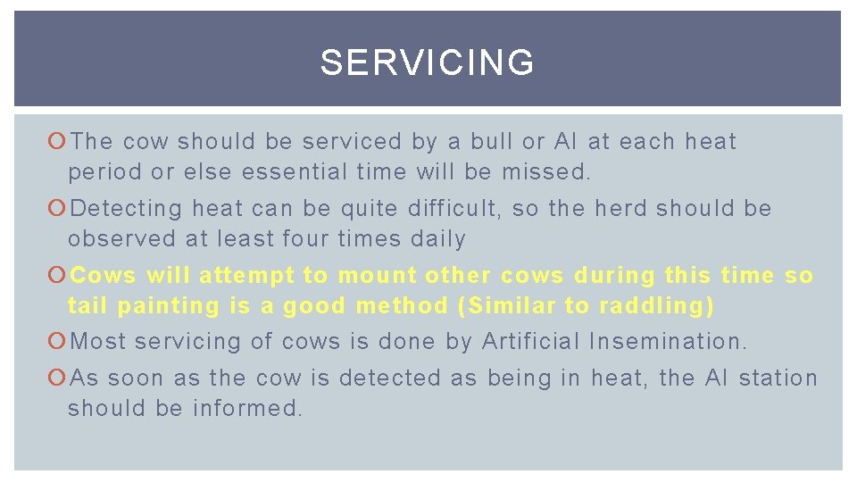 SERVICING The cow should be serviced by a bull or AI at each heat
