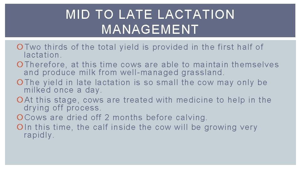 MID TO LATE LACTATION MANAGEMENT Two thirds of the total yield is provided in