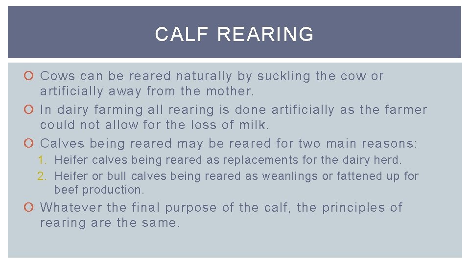 CALF REARING Cows can be reared naturally by suckling the cow or artificially away