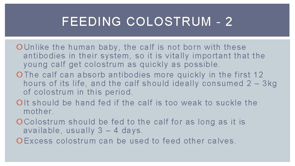 FEEDING COLOSTRUM - 2 Unlike the human baby, the calf is not born with