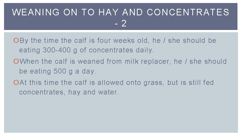 WEANING ON TO HAY AND CONCENTRATES - 2 By the time the calf is