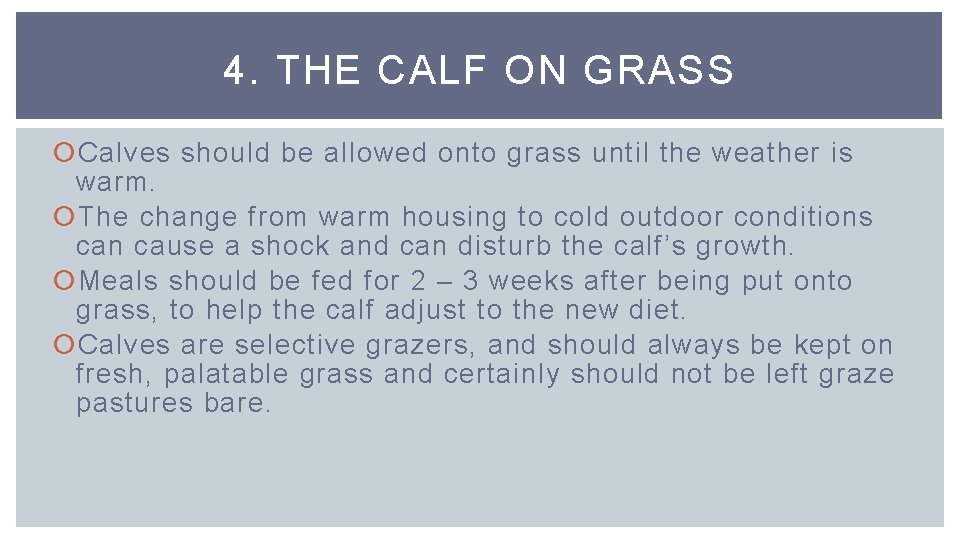 4. THE CALF ON GRASS Calves should be allowed onto grass until the weather