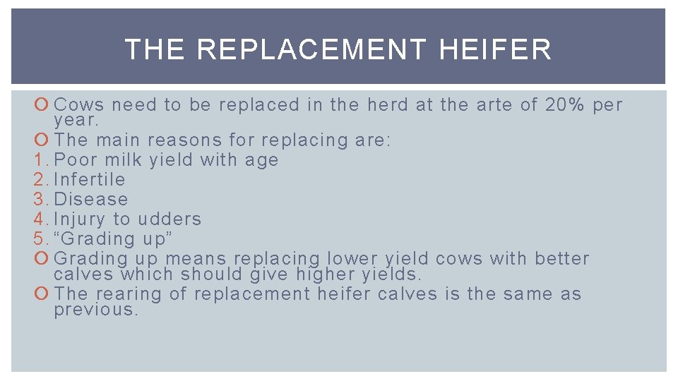 THE REPLACEMENT HEIFER Cows need to be replaced in the herd at the arte