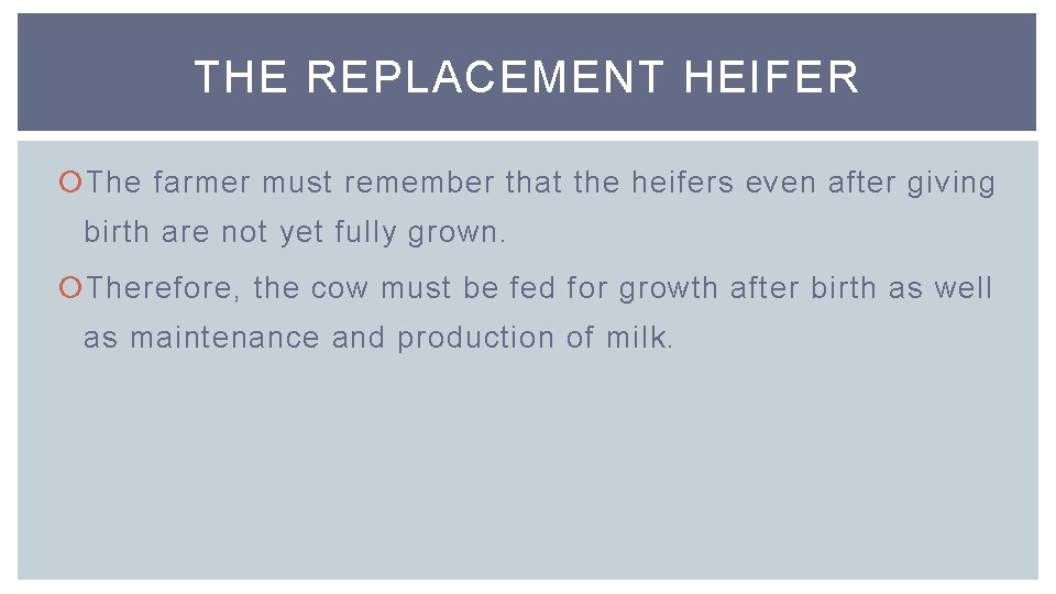 THE REPLACEMENT HEIFER The farmer must remember that the heifers even after giving birth