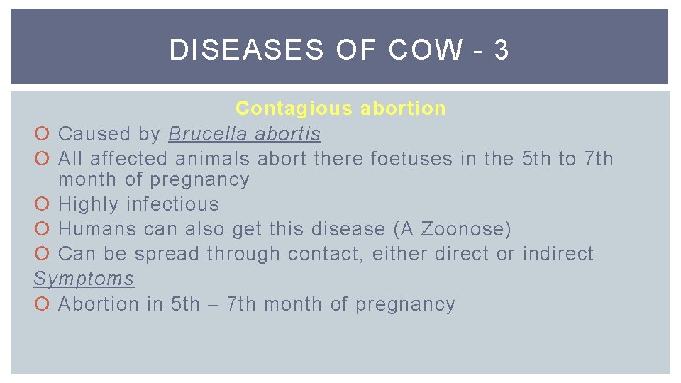 DISEASES OF COW - 3 Contagious abortion Caused by Brucella abortis All affected animals
