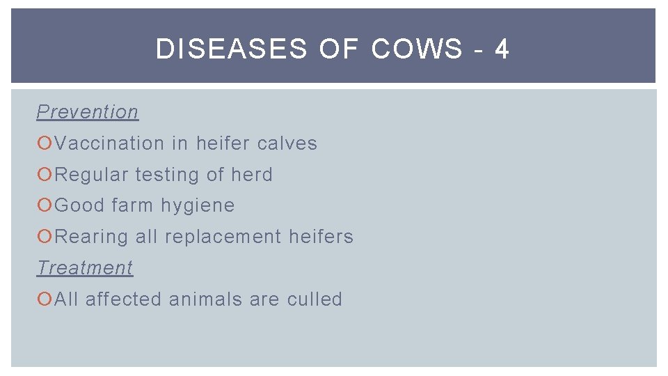 DISEASES OF COWS - 4 Prevention Vaccination in heifer calves Regular testing of herd
