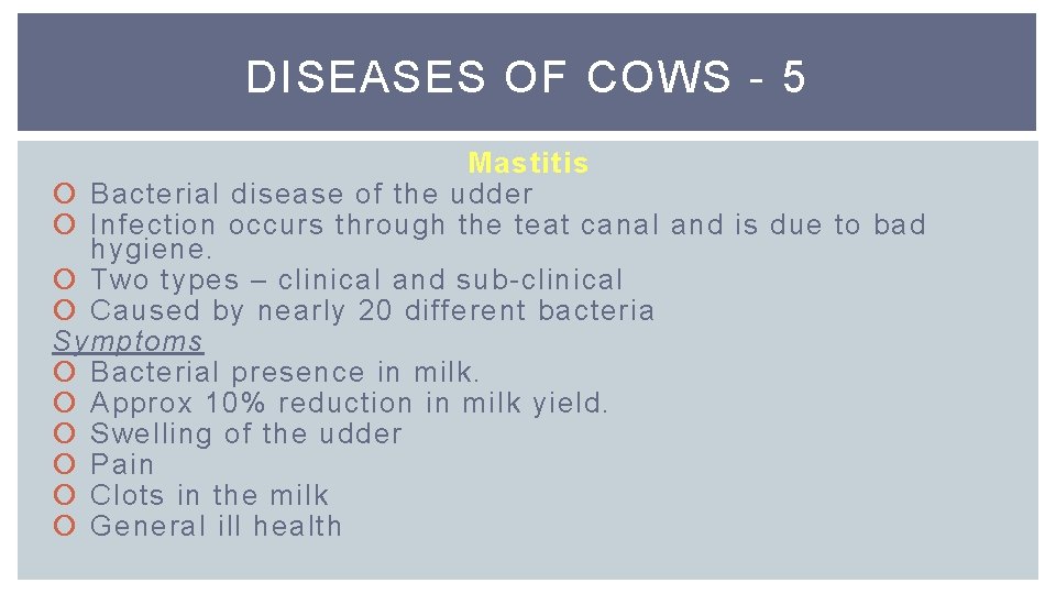 DISEASES OF COWS - 5 Mastitis Bacterial disease of the udder Infection occurs through