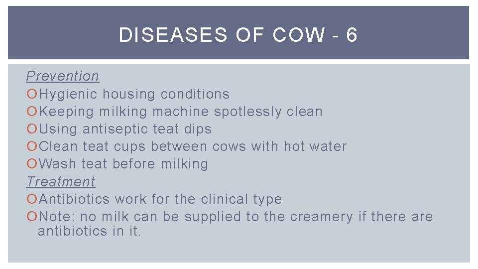 DISEASES OF COW - 6 Prevention Hygienic housing conditions Keeping milking machine spotlessly clean