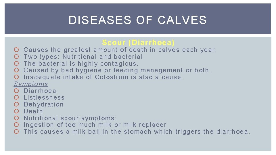 DISEASES OF CALVES Scour (Diarrhoea) Causes the greatest amount of death in calves each