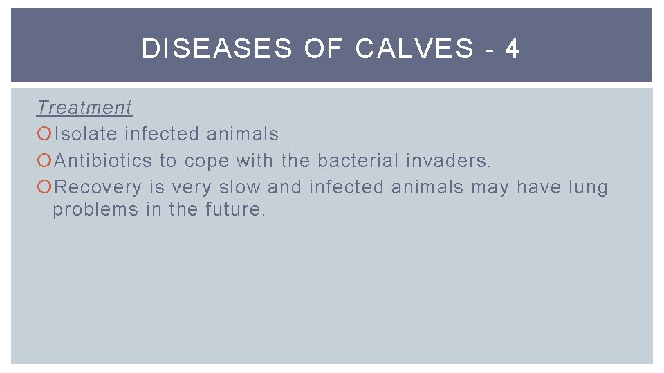 DISEASES OF CALVES - 4 Treatment Isolate infected animals Antibiotics to cope with the