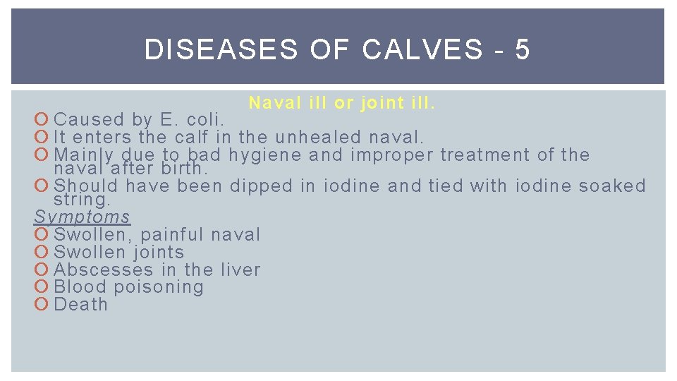 DISEASES OF CALVES - 5 Naval ill or joint ill. Caused by E. coli.