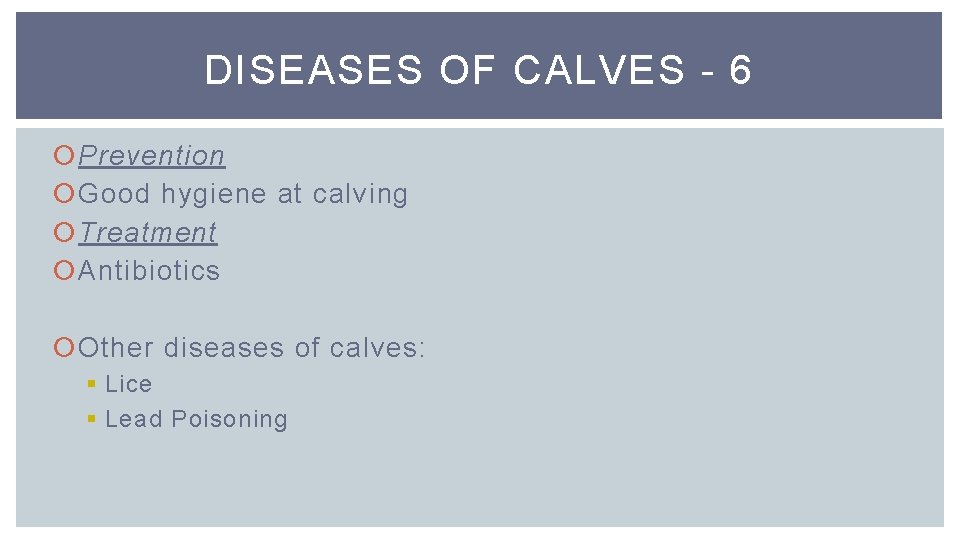 DISEASES OF CALVES - 6 Prevention Good hygiene at calving Treatment Antibiotics Other diseases