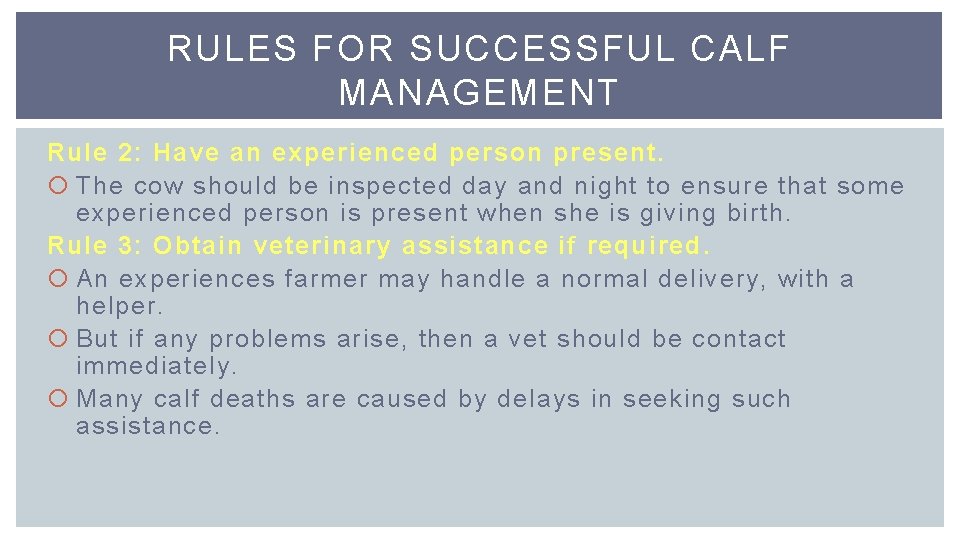 RULES FOR SUCCESSFUL CALF MANAGEMENT Rule 2: Have an experienced person present. The cow