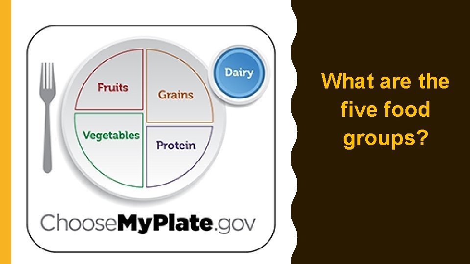 What are the five food groups? What are the five food groups?
