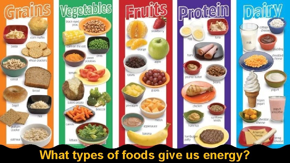 What types of foods give us energy? What types of foods give us energy?