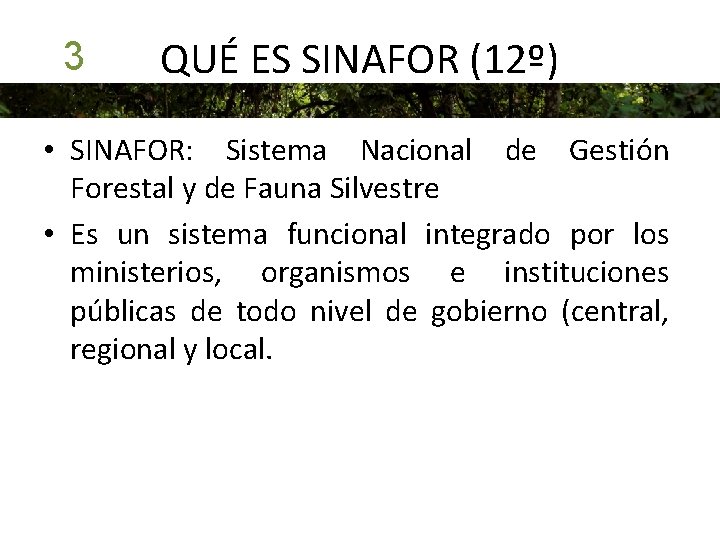 3 QUÉ ES SINAFOR (12º) • SINAFOR: Sistema Nacional de Gestión Forestal y de