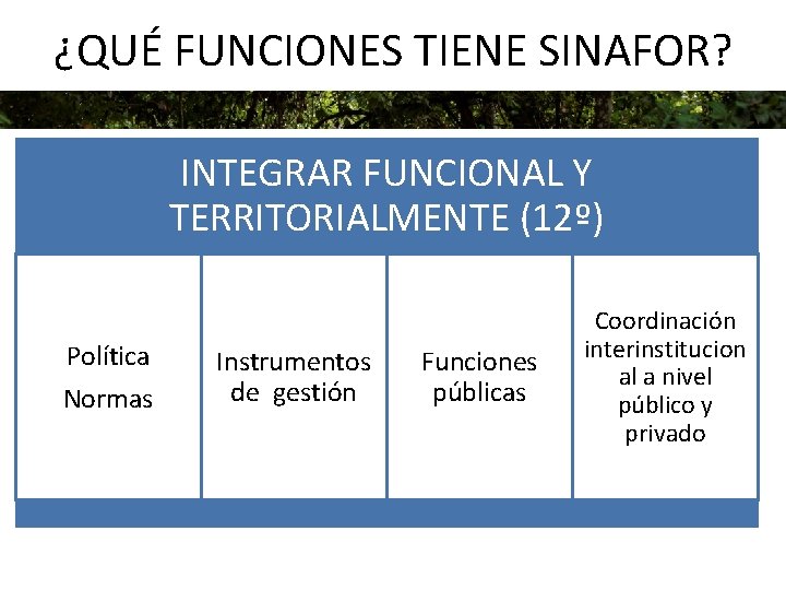 ¿QUÉ FUNCIONES TIENE SINAFOR? INTEGRAR FUNCIONAL Y TERRITORIALMENTE (12º) Política Normas Instrumentos de gestión