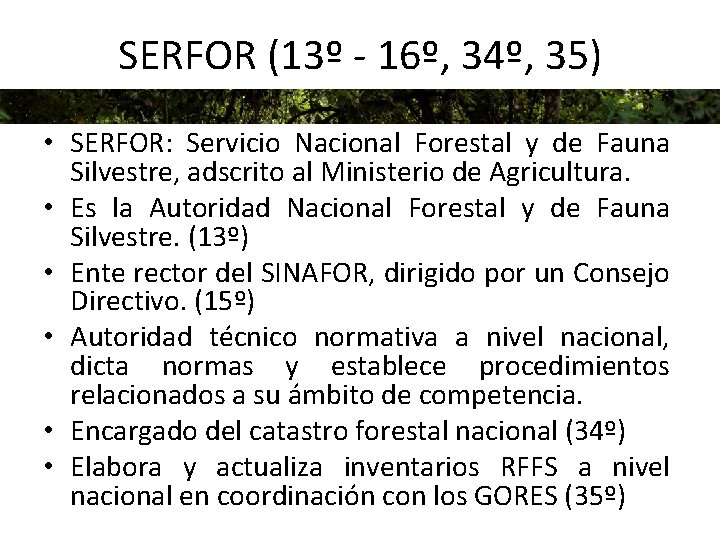 SERFOR (13º - 16º, 34º, 35) • SERFOR: Servicio Nacional Forestal y de Fauna