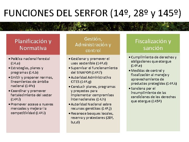 FUNCIONES DEL SERFOR (14º, 28º y 145º) Planificación y Normativa • Política nacional forestal