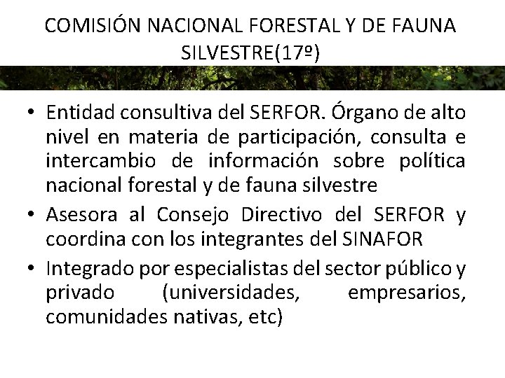 COMISIÓN NACIONAL FORESTAL Y DE FAUNA SILVESTRE(17º) • Entidad consultiva del SERFOR. Órgano de