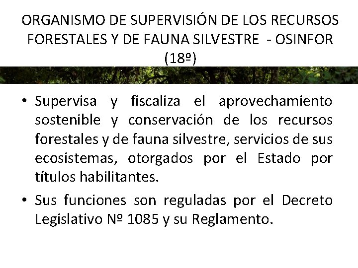 ORGANISMO DE SUPERVISIÓN DE LOS RECURSOS FORESTALES Y DE FAUNA SILVESTRE - OSINFOR (18º)