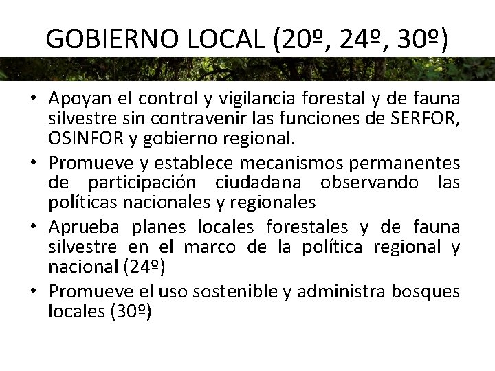 GOBIERNO LOCAL (20º, 24º, 30º) • Apoyan el control y vigilancia forestal y de