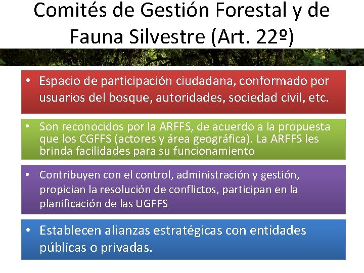 Comités de Gestión Forestal y de Fauna Silvestre (Art. 22º) • Espacio de participación