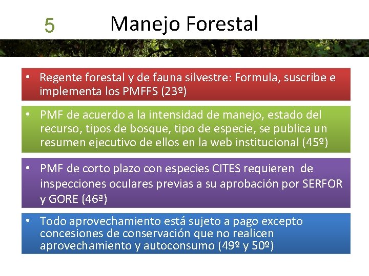 5 Manejo Forestal • Regente forestal y de fauna silvestre: Formula, suscribe e implementa