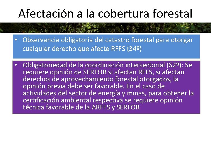 Afectación a la cobertura forestal • Observancia obligatoria del catastro forestal para otorgar cualquier