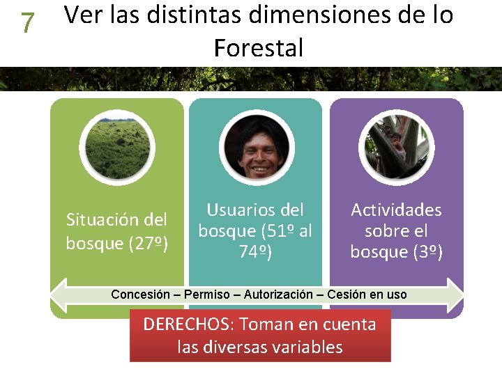 7 Ver las distintas dimensiones de lo Forestal Situación del bosque (27º) Usuarios del