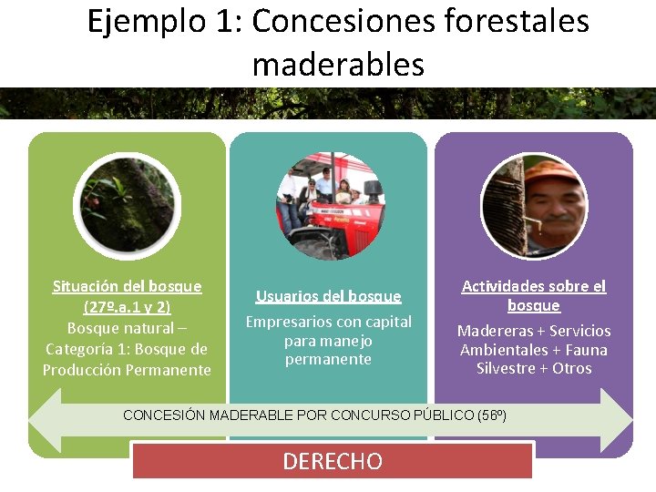 Ejemplo 1: Concesiones forestales maderables Situación del bosque (27º. a. 1 y 2) Bosque