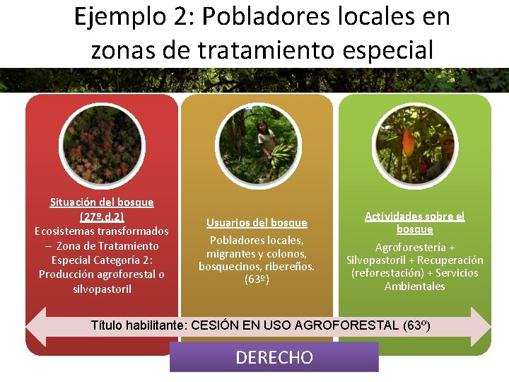 Ejemplo 2: Pobladores locales en zonas de tratamiento especial Situación del bosque (27º. d.