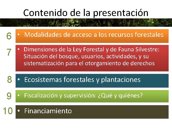 Contenido de la presentación 6 • Modalidades de acceso a los recursos forestales 7
