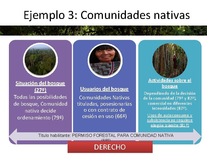 Ejemplo 3: Comunidades nativas Situación del bosque (27º) Todas las posibilidades de bosque, Comunidad