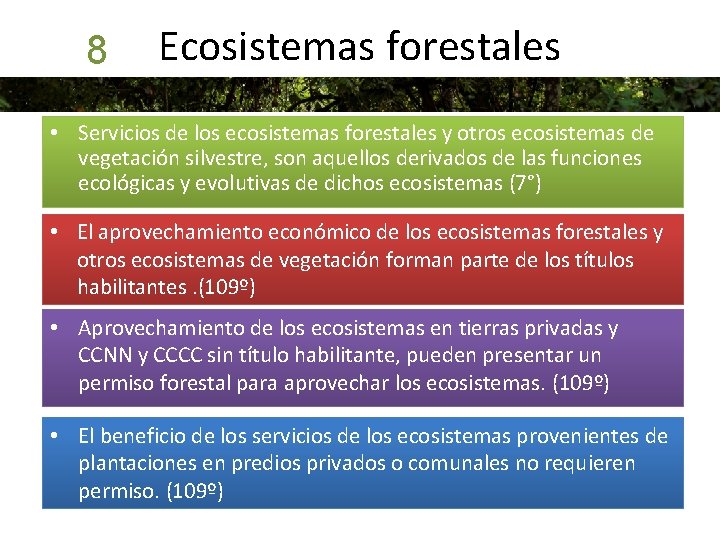 8 Ecosistemas forestales • Servicios de los ecosistemas forestales y otros ecosistemas de vegetación