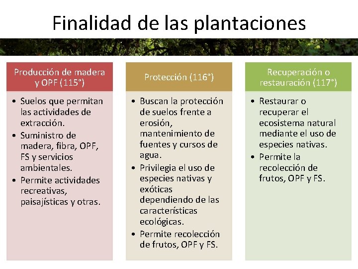 Finalidad de las plantaciones Producción de madera y OPF (115°) • Suelos que permitan