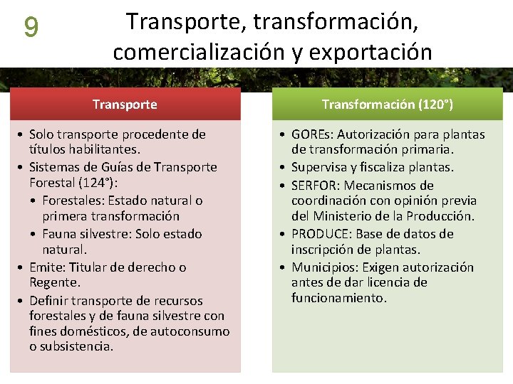 9 Transporte, transformación, comercialización y exportación Transporte • Solo transporte procedente de títulos habilitantes.