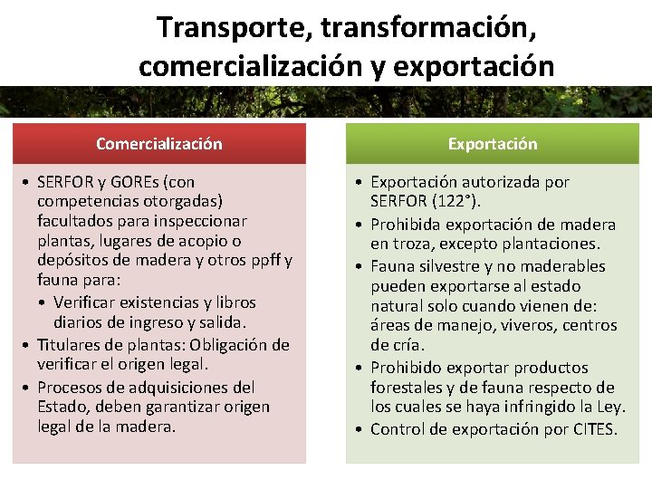 Transporte, transformación, comercialización y exportación Comercialización Exportación • SERFOR y GOREs (con competencias otorgadas)