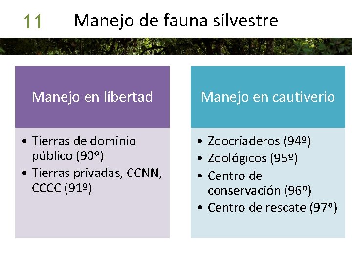 11 Manejo de fauna silvestre Manejo en libertad Manejo en cautiverio • Tierras de